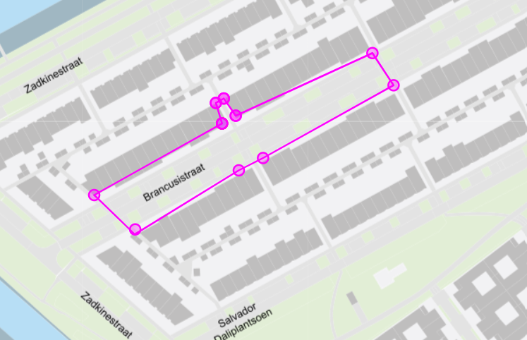 Gebied verlengd cameratoezicht Brancusistraat
